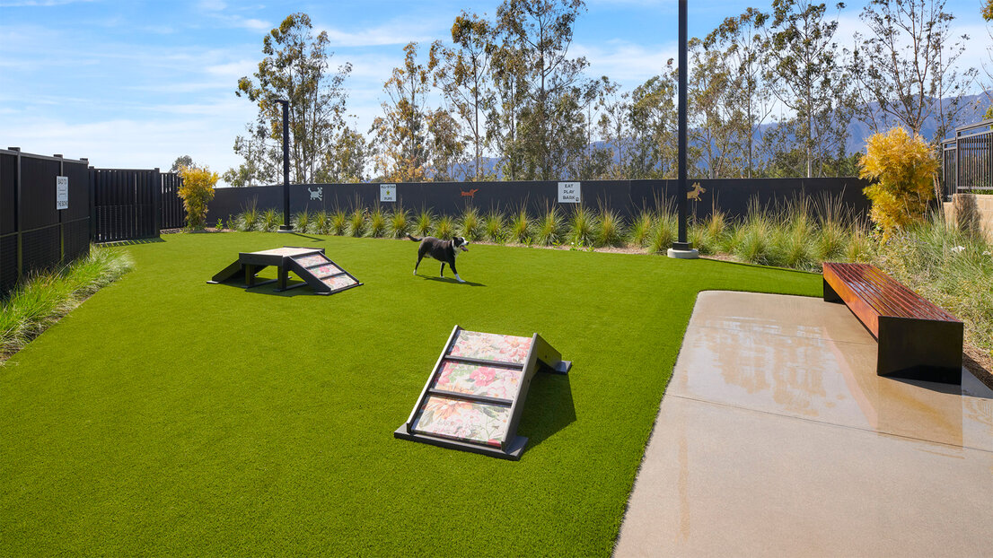 Montaira dog park.jpg