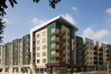 News and Press - Sakura Crossing 155x119.jpg