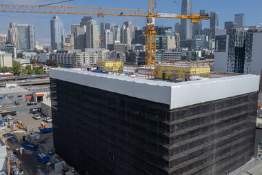 Freelon Crane crop.jpg