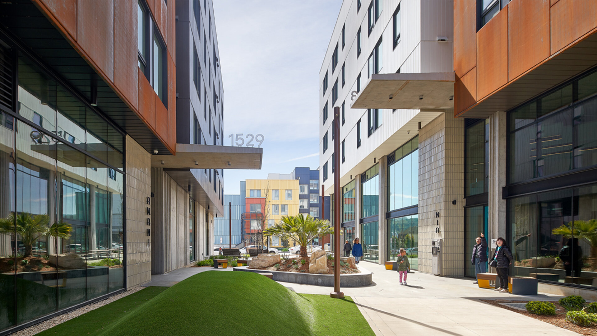 Amani Nia mews for news.jpg